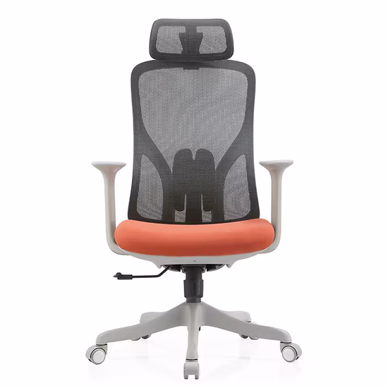 Affordable Mesh Double Backrest Design Ergonomic Swivel Office Chair